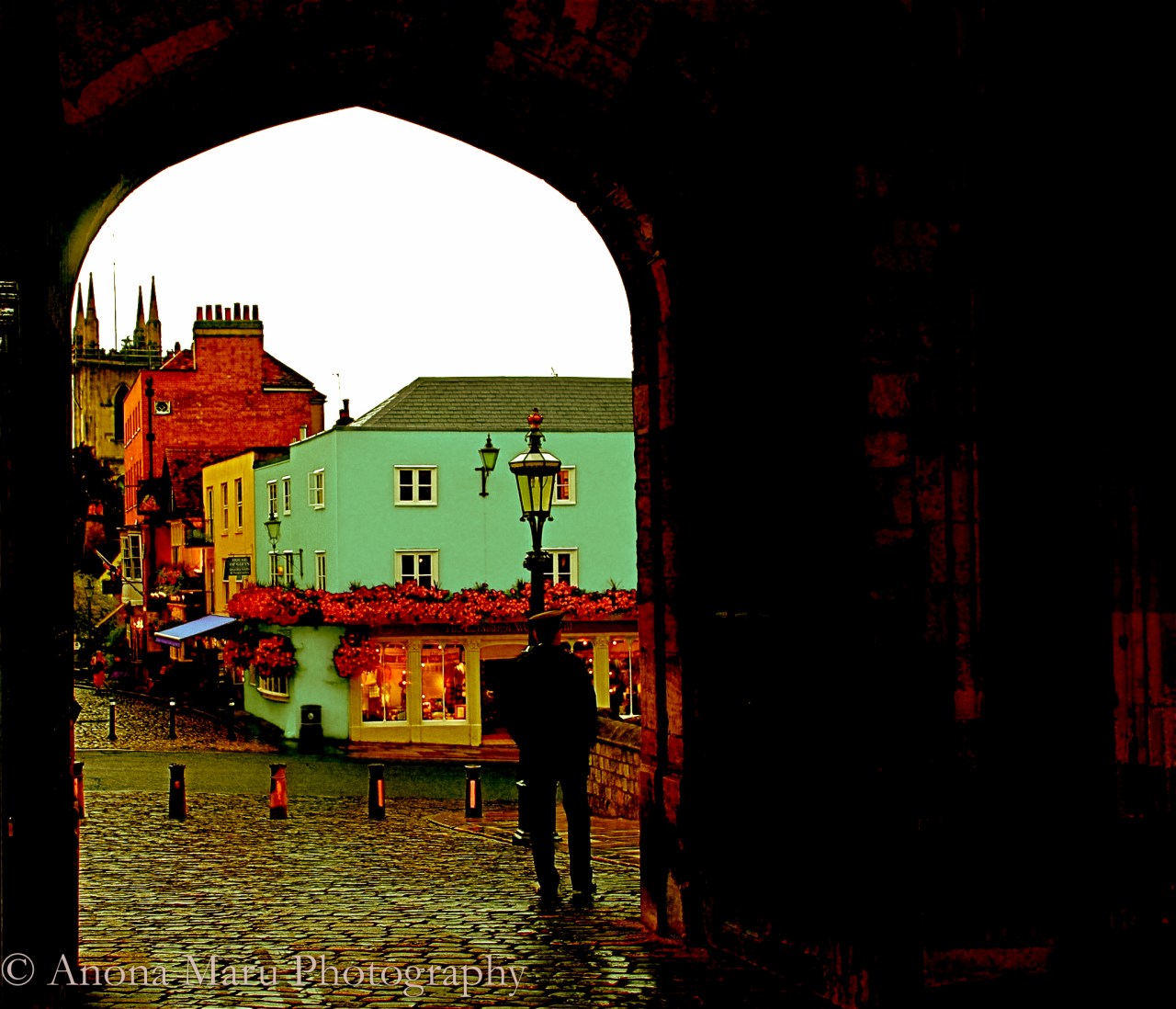 289053_10150766198335545_2803133_o(1)