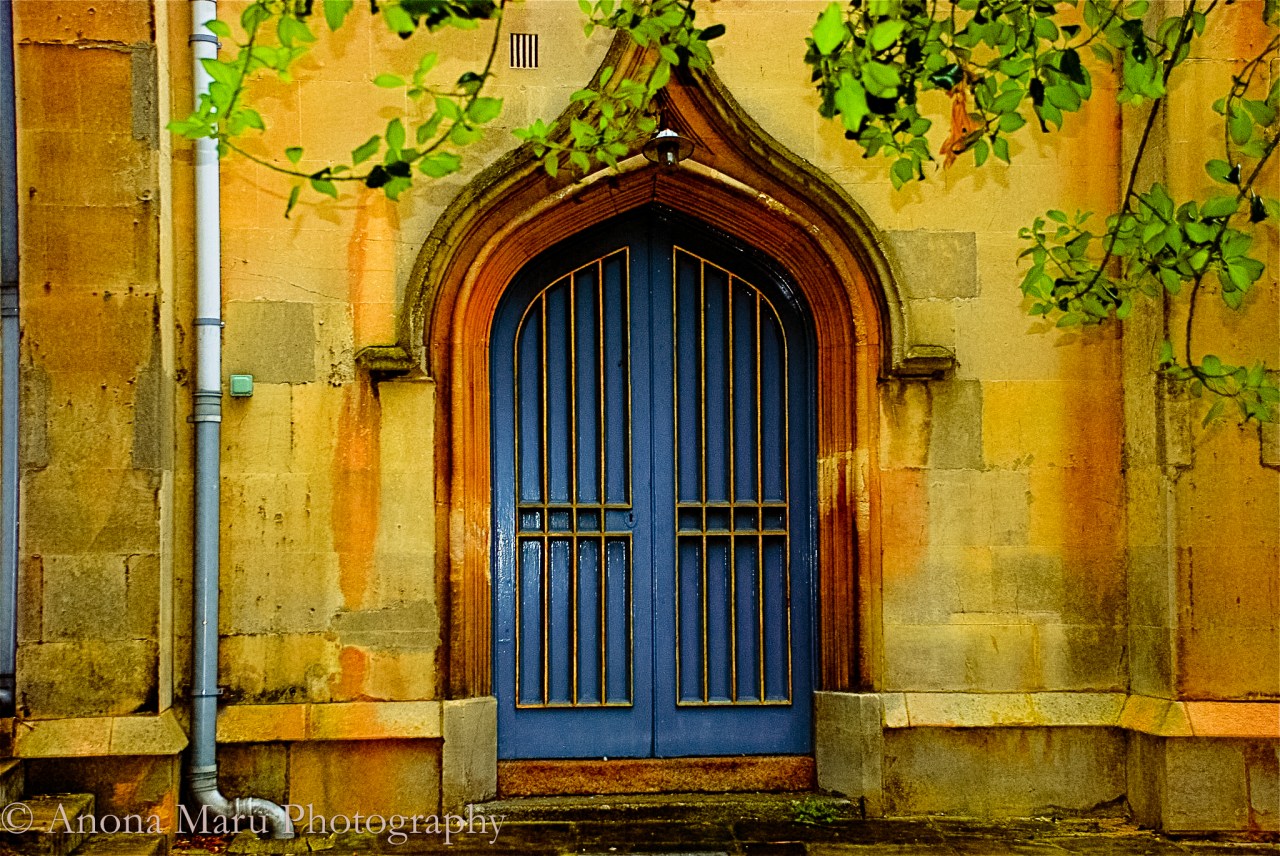 289287_10150766202215545_8015442_o(2)