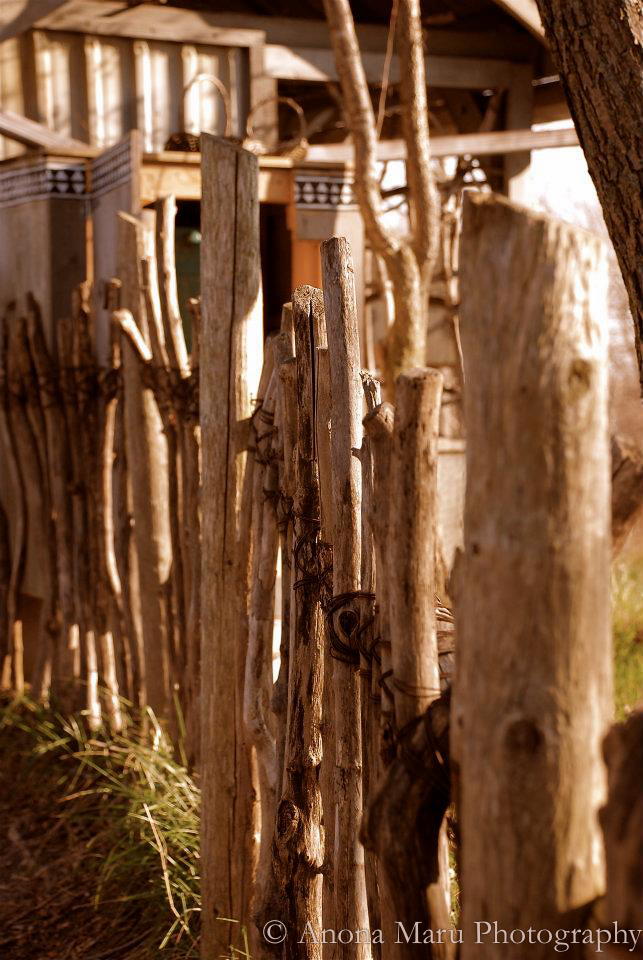 426216_10151325473080545_83680918_n(1)