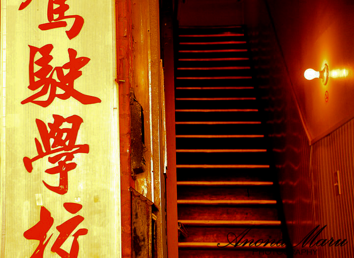 30752_10150172234605545_7724530_n