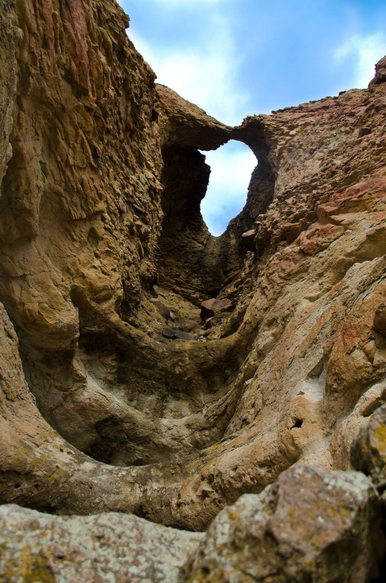 1400764_10153552737335545_1018448212_o